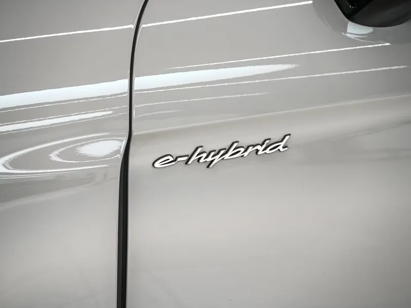Porsche Panamera 4 E-Hybrid Crayon - Photo 26