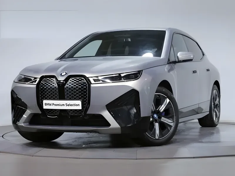BMW iX xDrive40 Oxidgrau