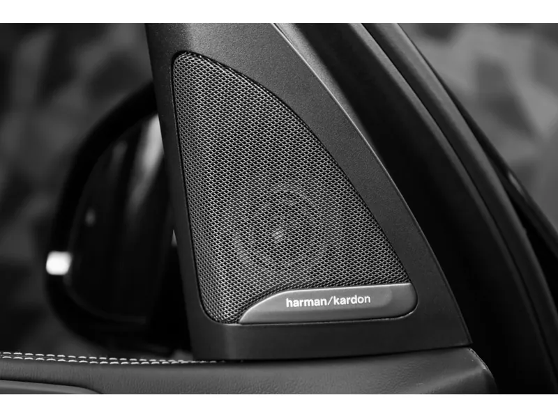 BMW X7 xDrive40d Black Sapphire - Photo 19