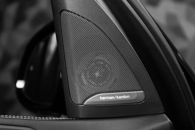 BMW X7 xDrive40d Black Sapphire - Photo 19