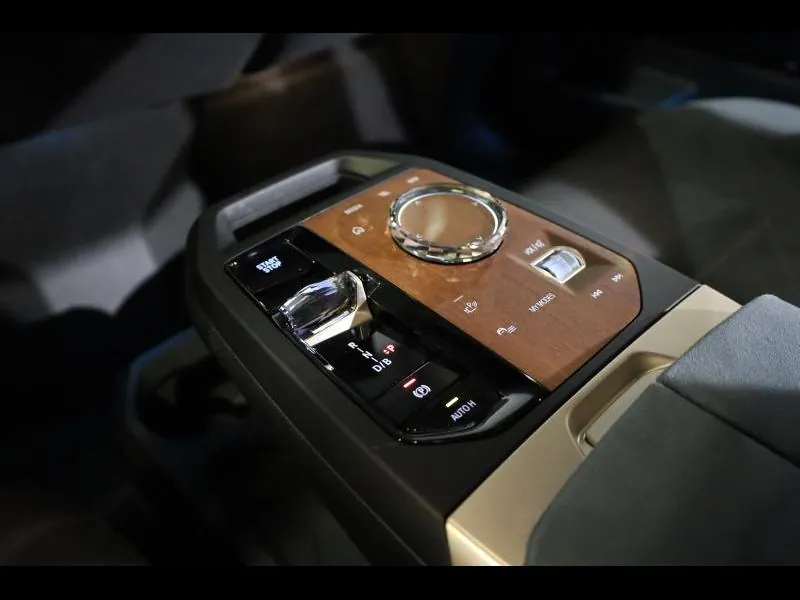 BMW iX xDrive40 Blue Ridge Mountain - Photo 12