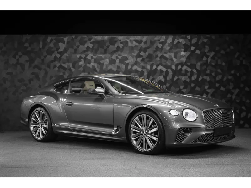 Bentley Continental GT Speed W12 Granite - Photo 6
